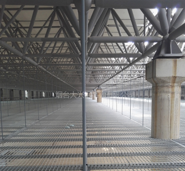 体育馆吊顶